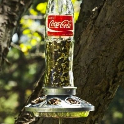 16 Creative New Ways to Use Old Bottles