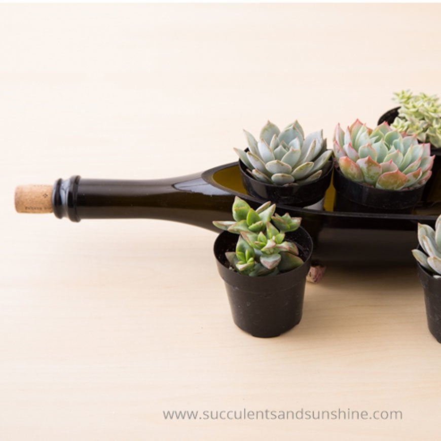 16 Creative New Ways to Use Old Bottles