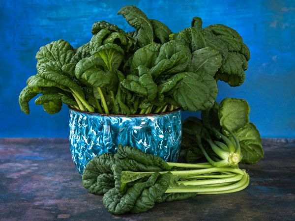 bok choy in a blue bowl