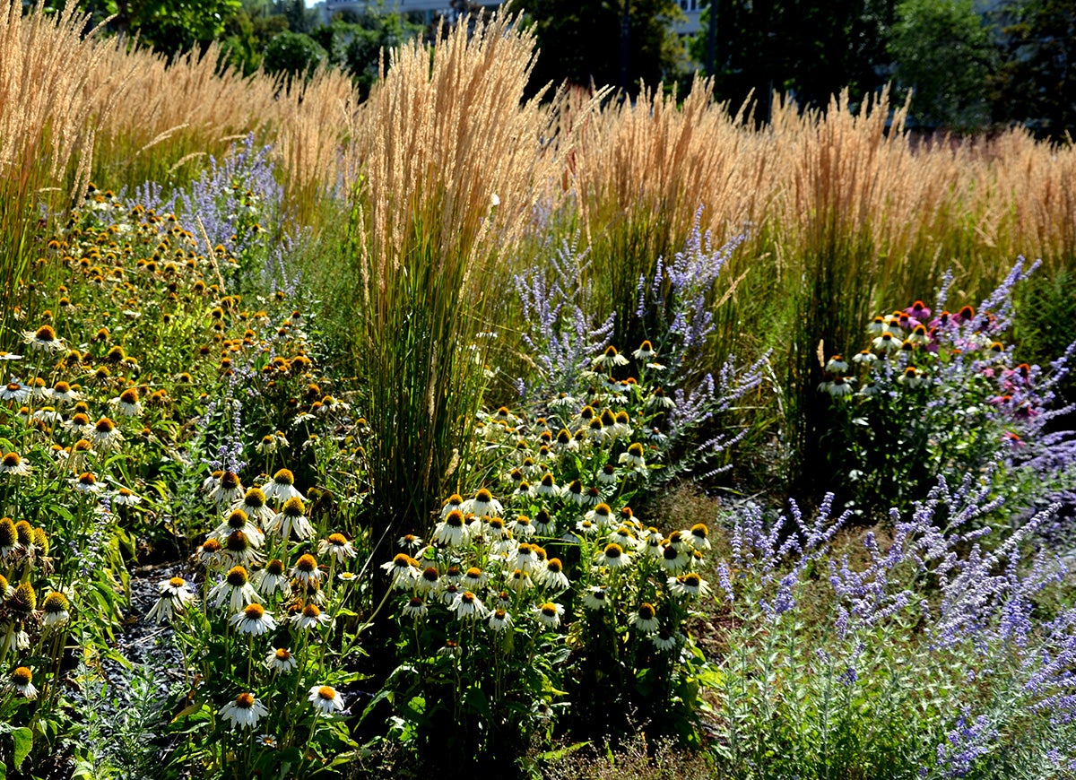 9 Reasons You Should Mulch Your Garden Every Fall