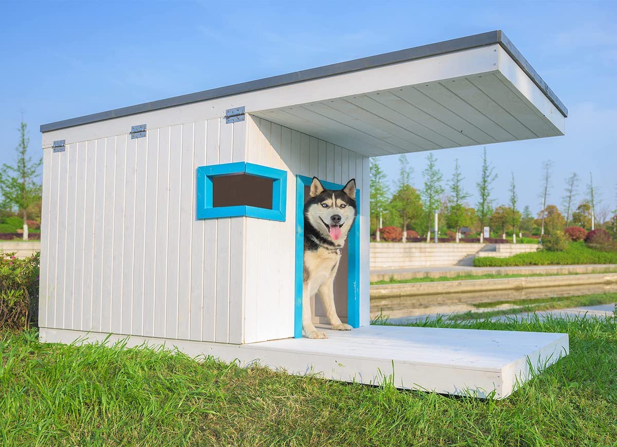 15 DIY Dog House Ideas for Your Furry Friend