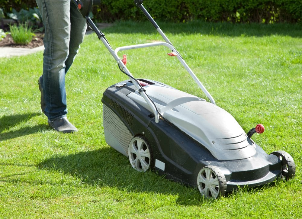 10 Remedies to Rescue a Dying Lawn