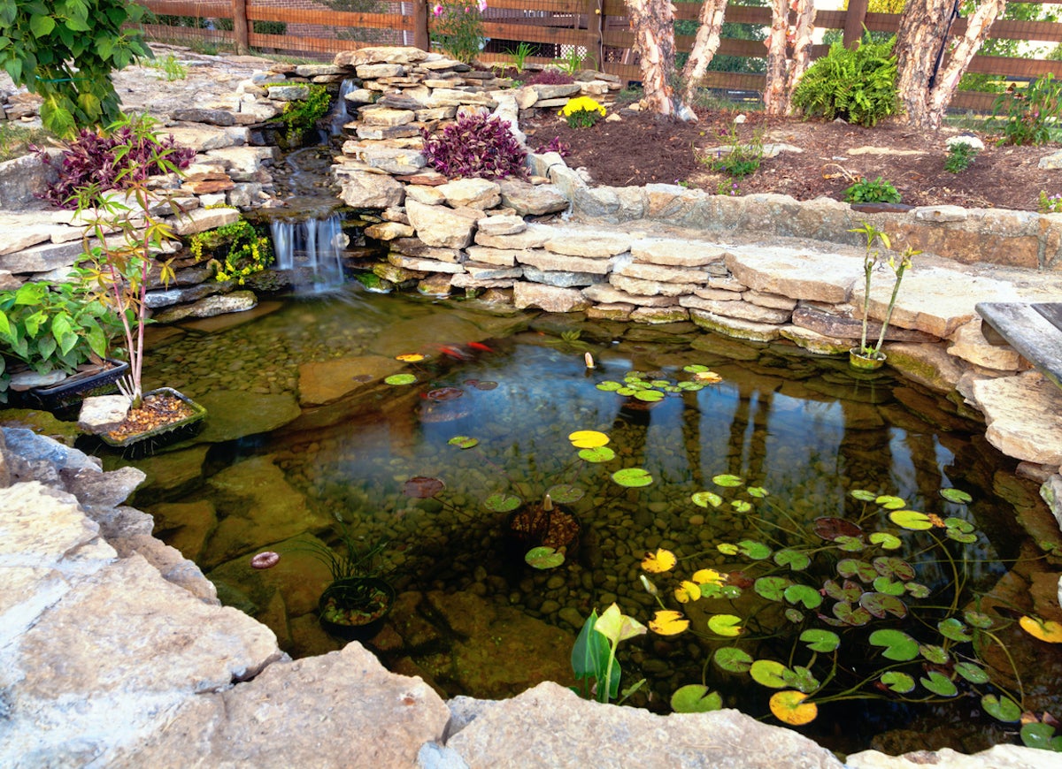 14 Landscaping Features That Can Hurt Your Home Value