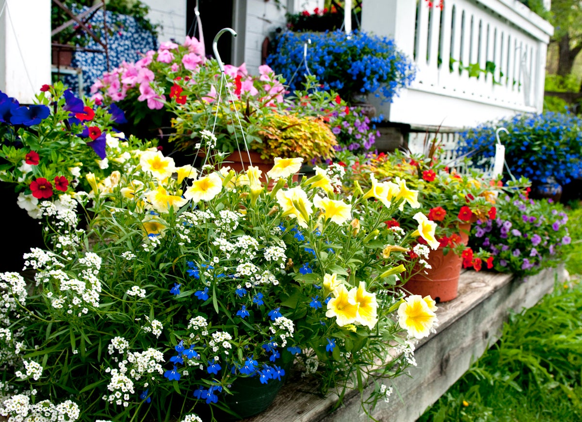 14 Landscaping Features That Can Hurt Your Home Value