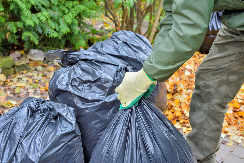 Yard Waste Removal