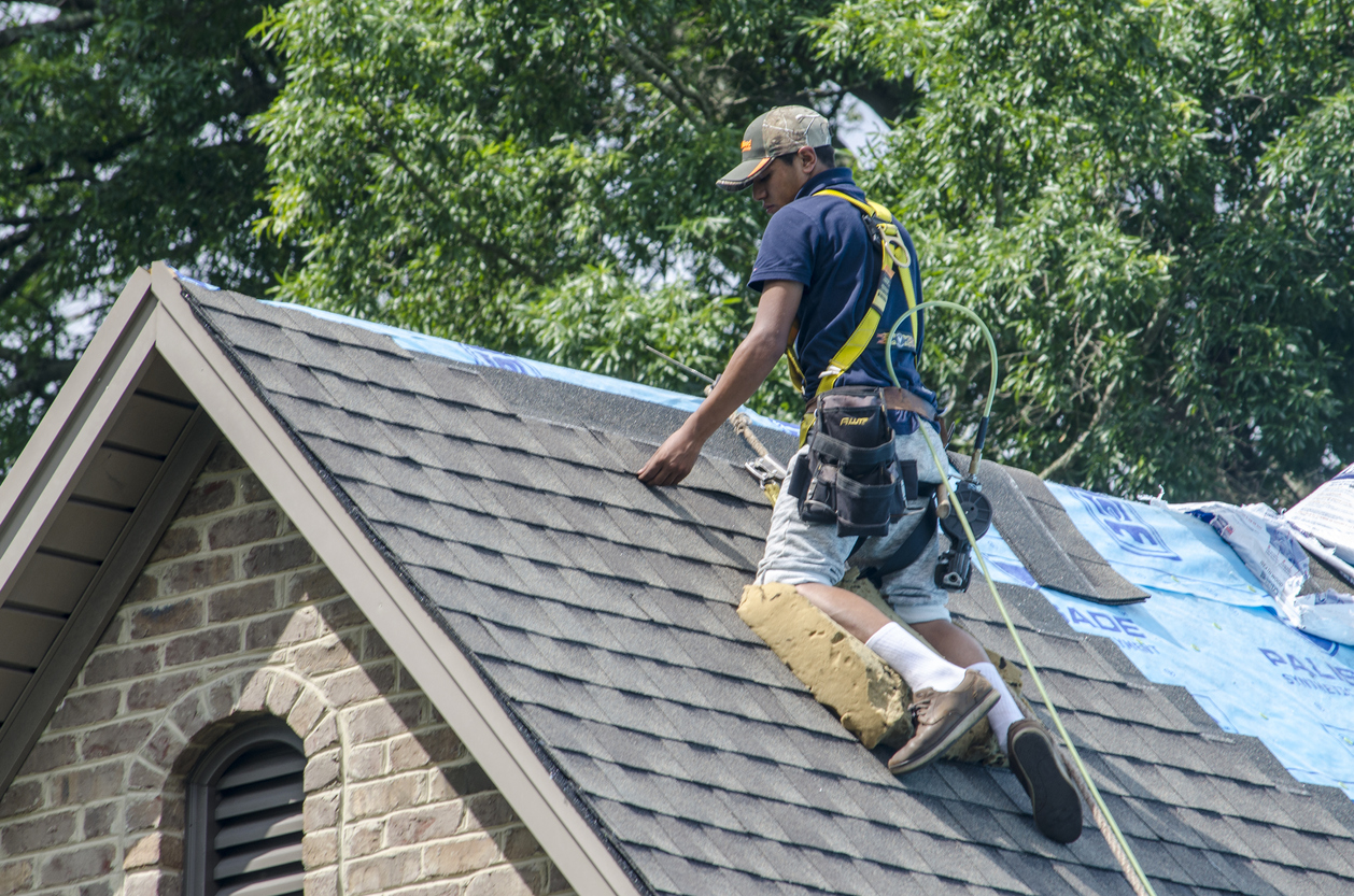 Hail Damage vs. Blistering