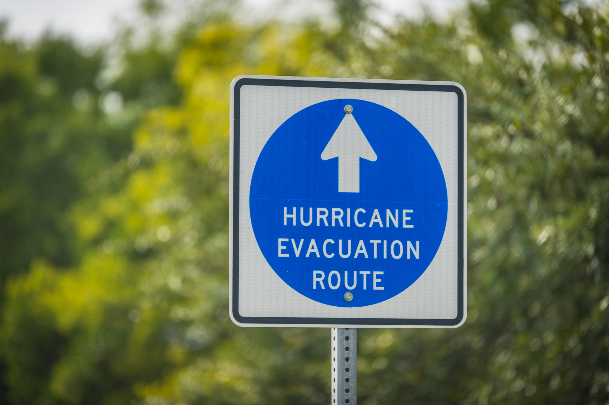 Blue hurricane evacuation route sign