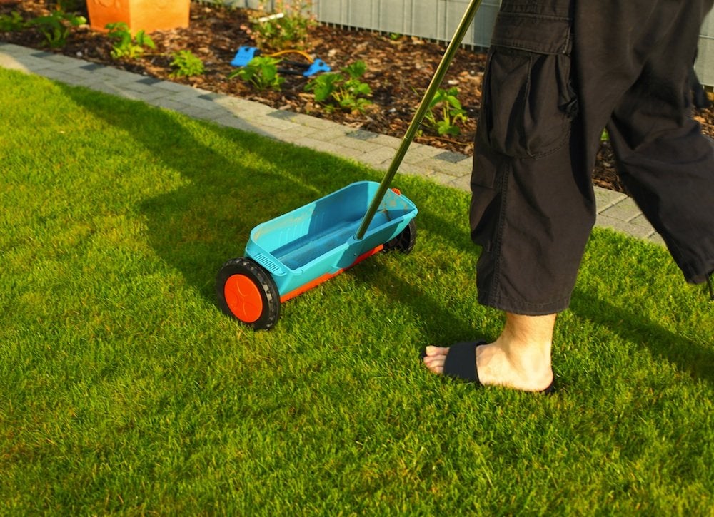 10 Remedies to Rescue a Dying Lawn