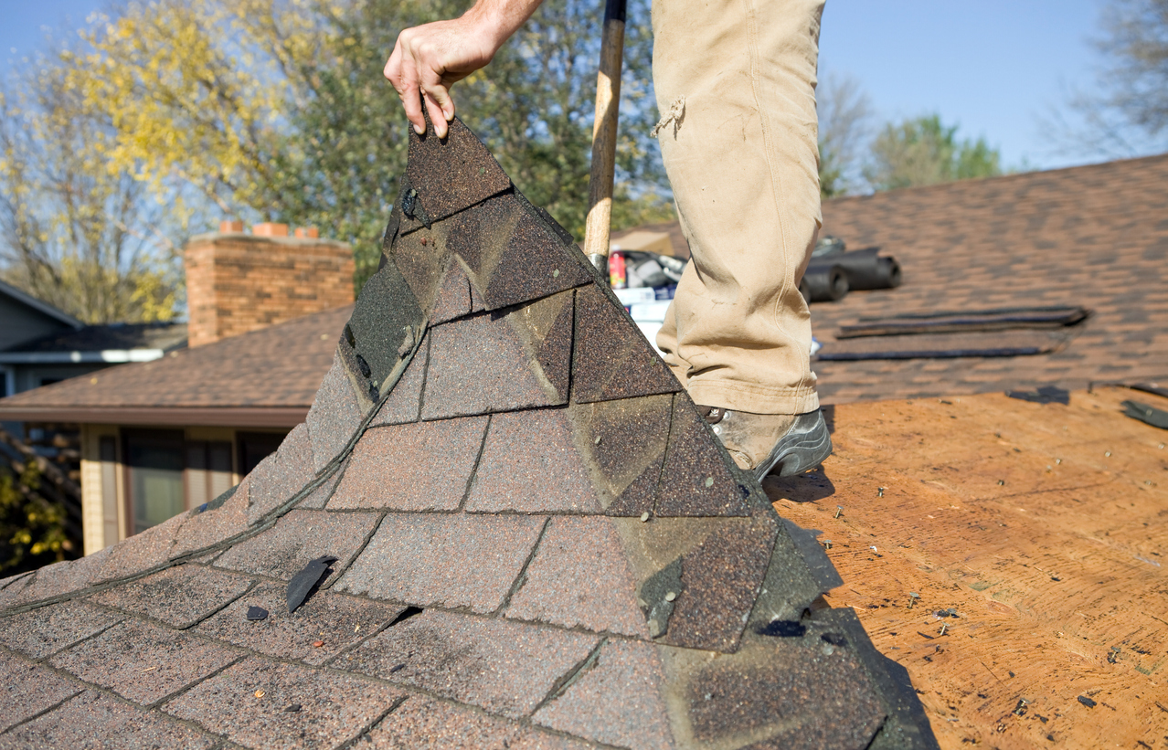 Hail Damage vs. Blistering