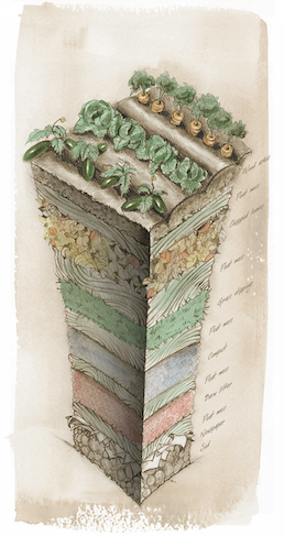 Lasagna Gardening - Diagram