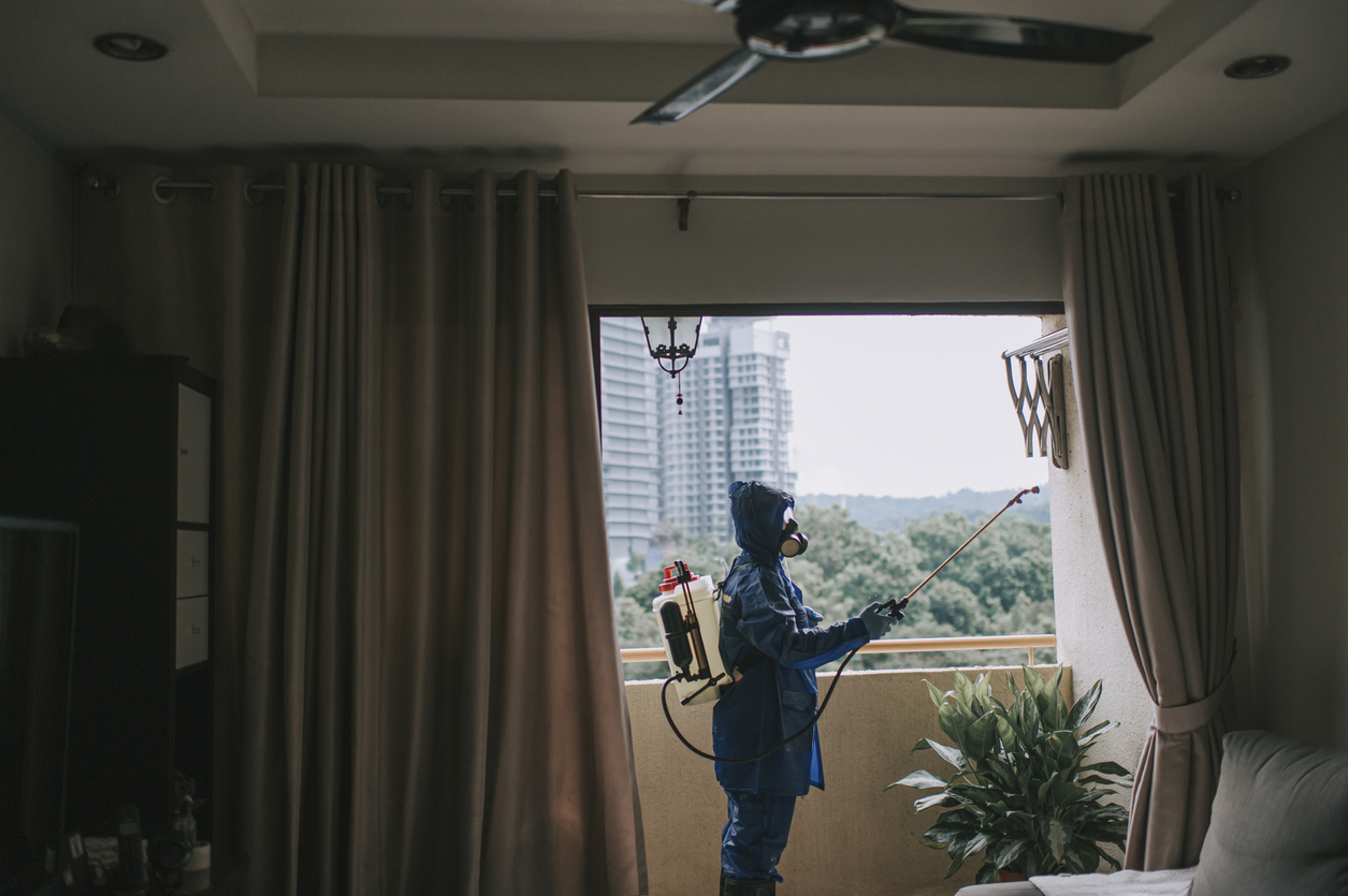 A view of a pest control expert spraying a solution in a house. 