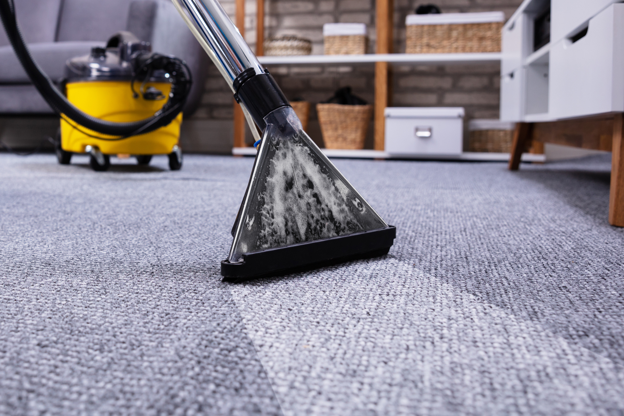 A person uses a rug shampoo vacuum to clean the carpet