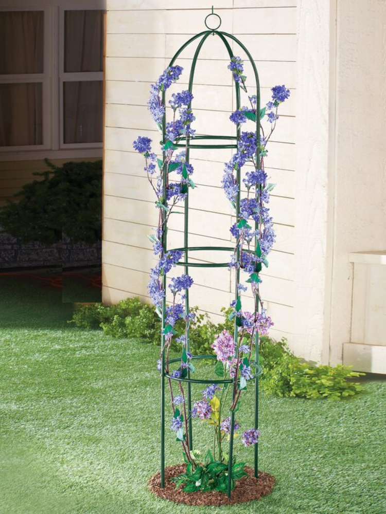 15 Beautiful and Functional Trellis Ideas for Climbing Plants