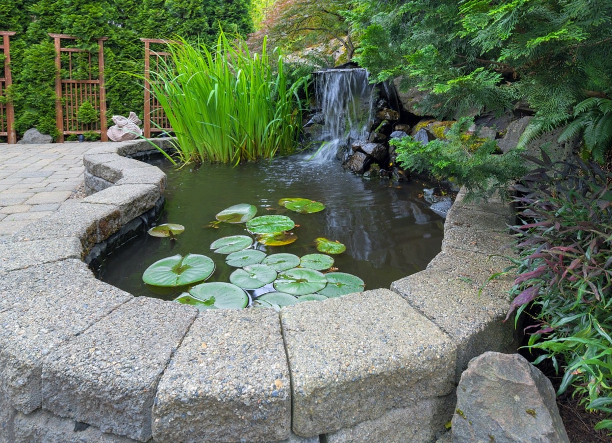 9 Relaxing Pond Waterfall Ideas for Your Backyard