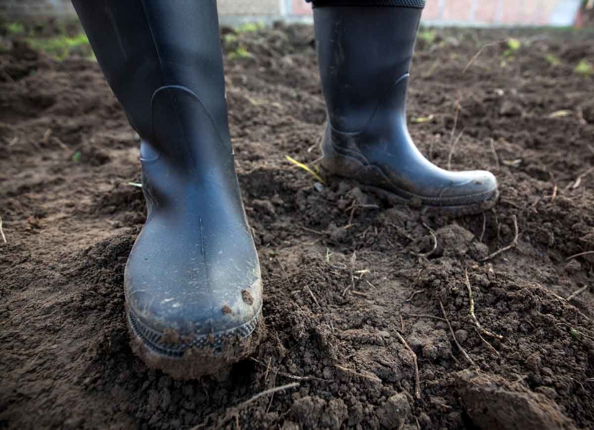 The Best Things You Can Do for Your Garden Soil