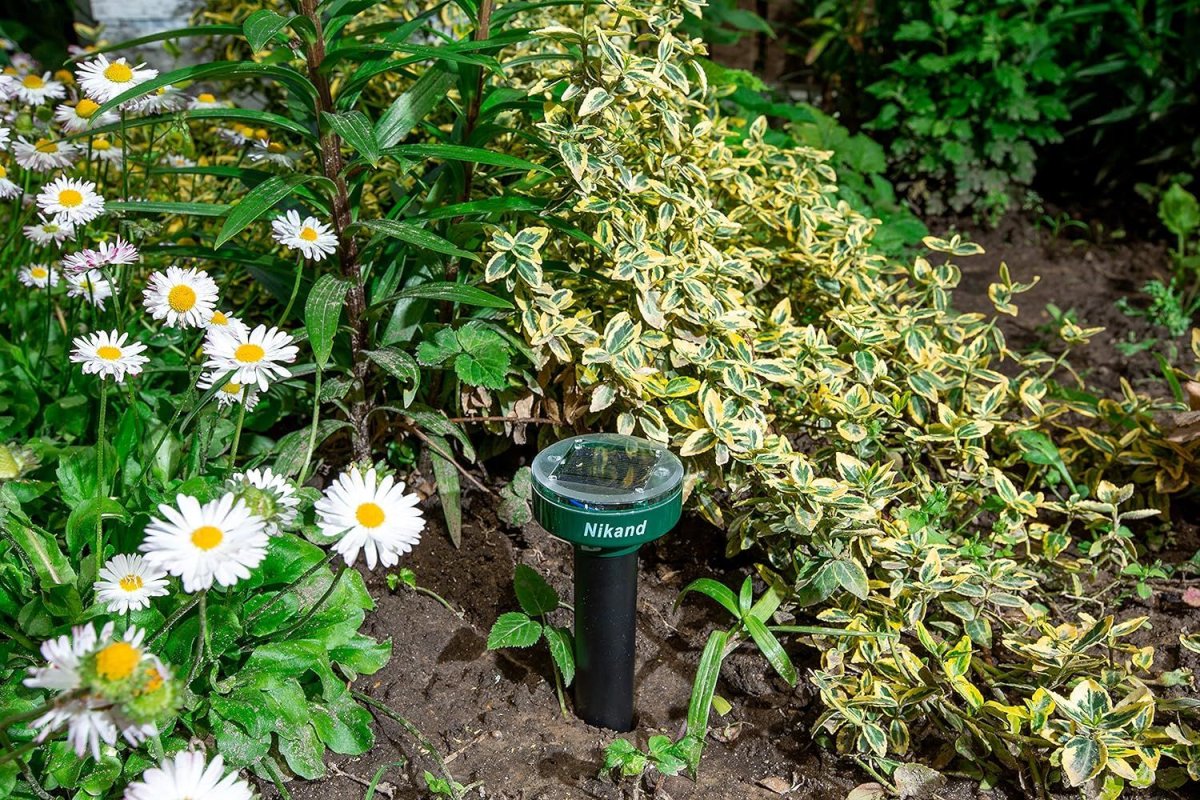 An ultrasonic mole repellent in the ground among some plants