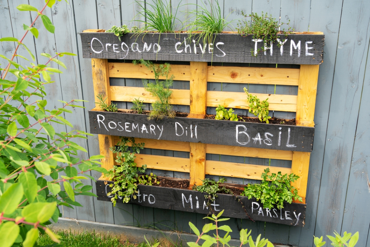 free ways to start a garden - wood pallet vertical herb garden