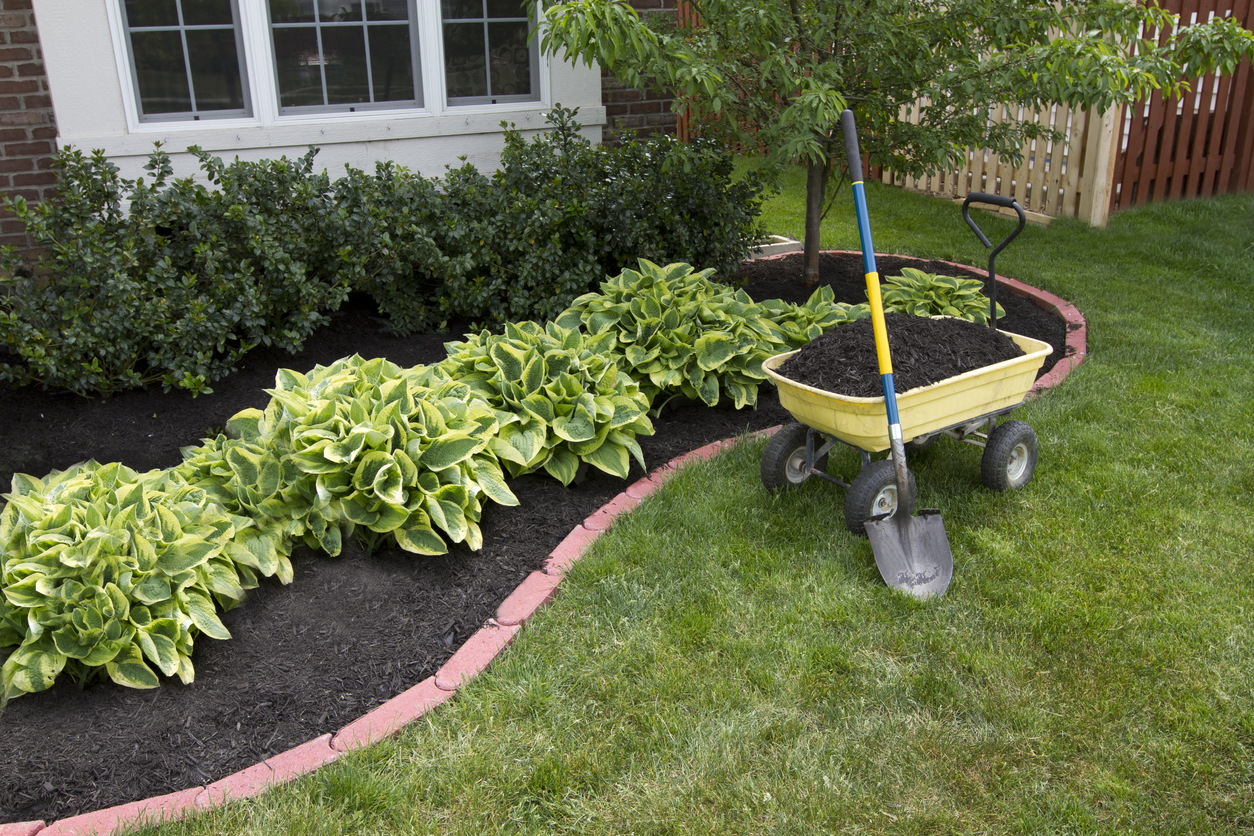 Curb Appeal Exterior Planting