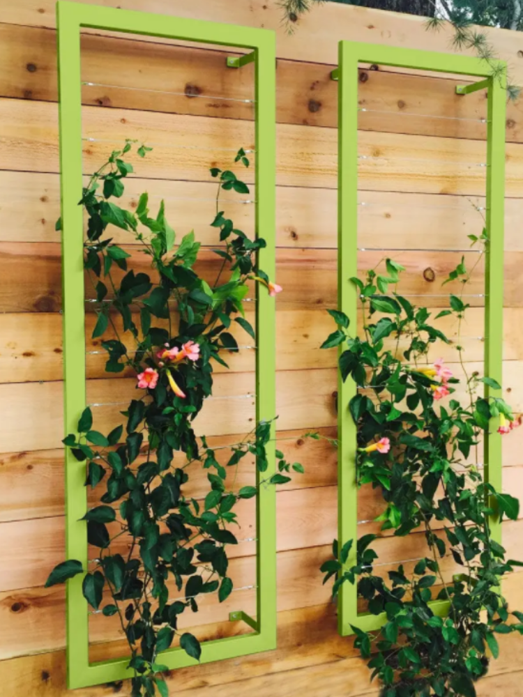 15 Beautiful and Functional Trellis Ideas for Climbing Plants