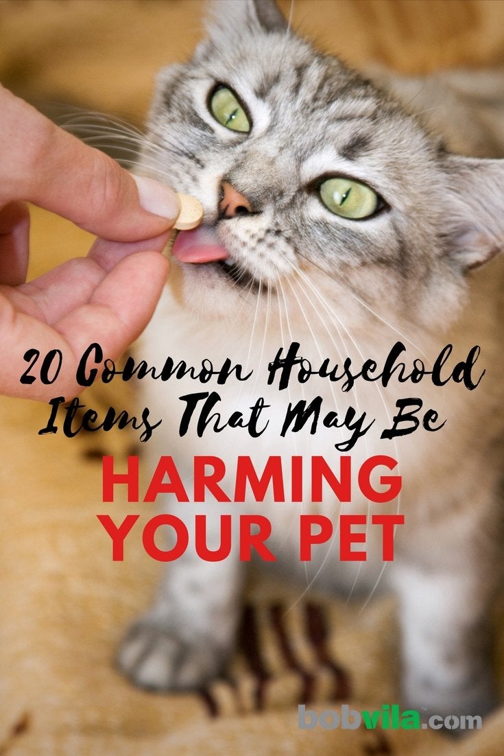 20 Common Household Items That May Be Harming Your Pet