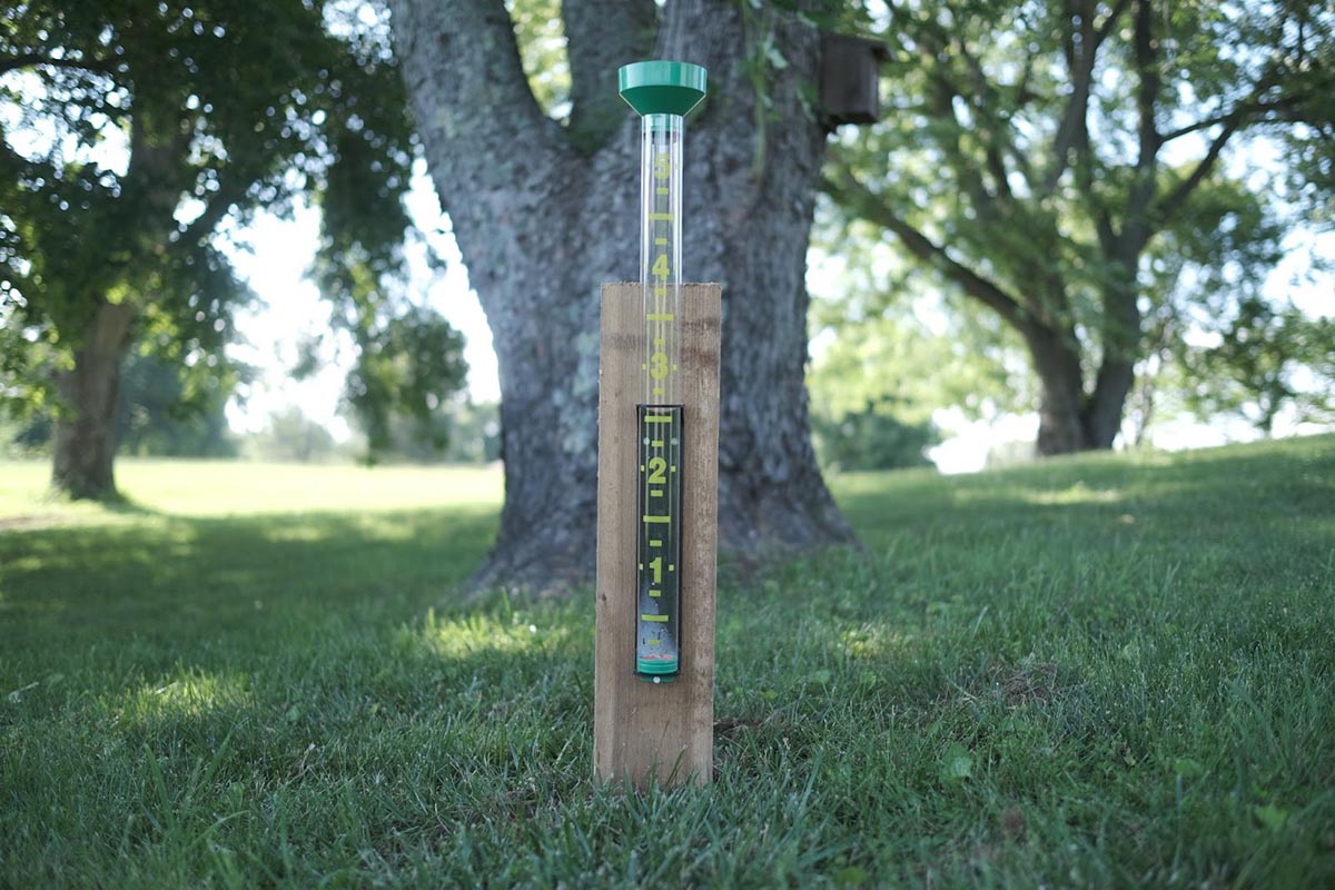 A rain gauge outdoors on the lawn