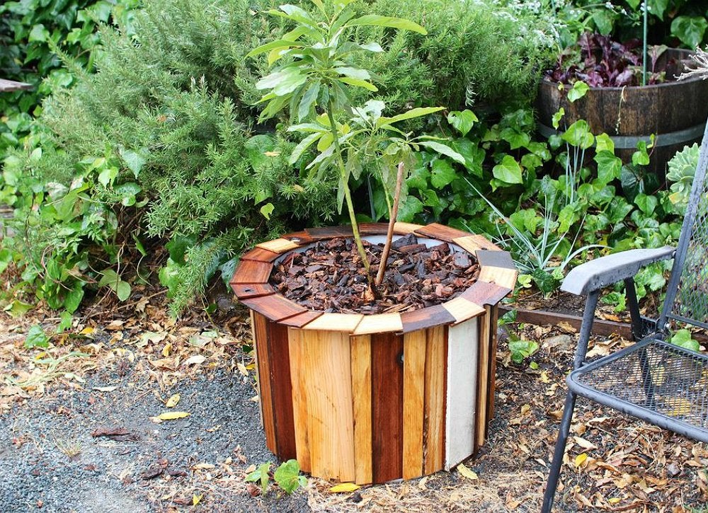 10 Backyard Wood Projects for Total Beginners