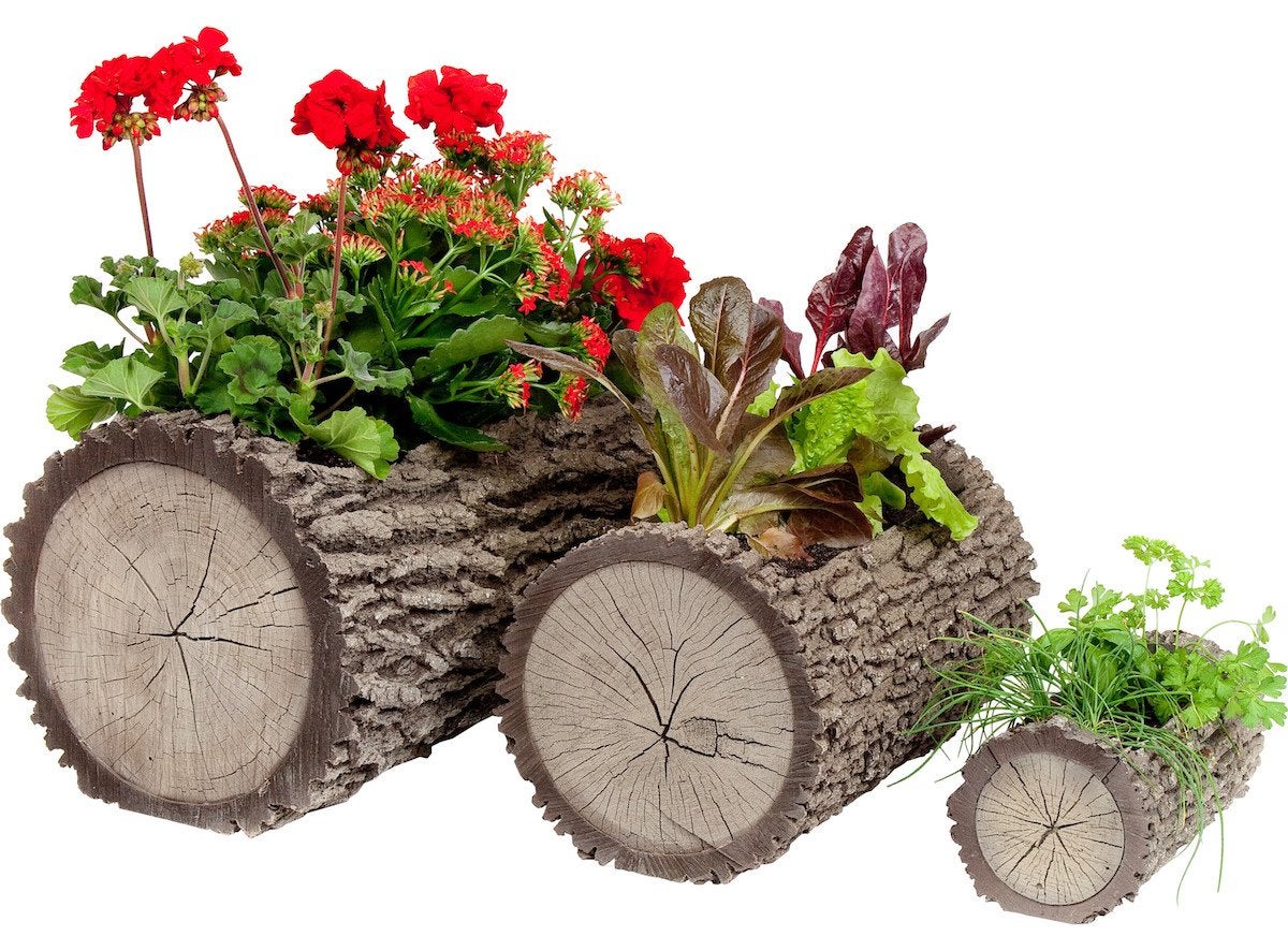 10 Tiny Gardens You Can Grow on Your Windowsill