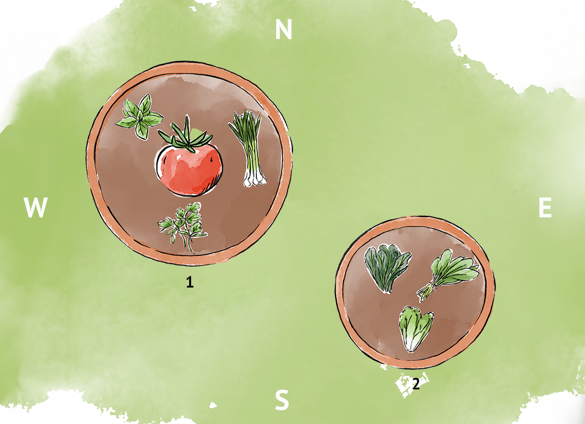 An illustration of two container vegetable garden layouts.