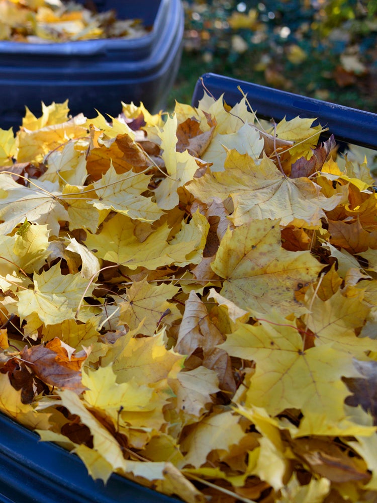 9 Reasons You Should Mulch Your Garden Every Fall