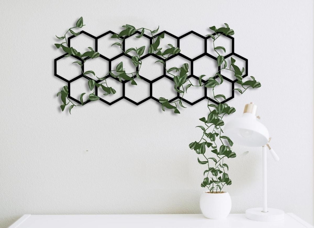 15 Beautiful and Functional Trellis Ideas for Climbing Plants