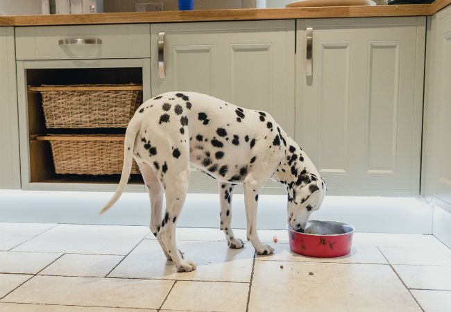 The 5 Best Kitchen Flooring Options