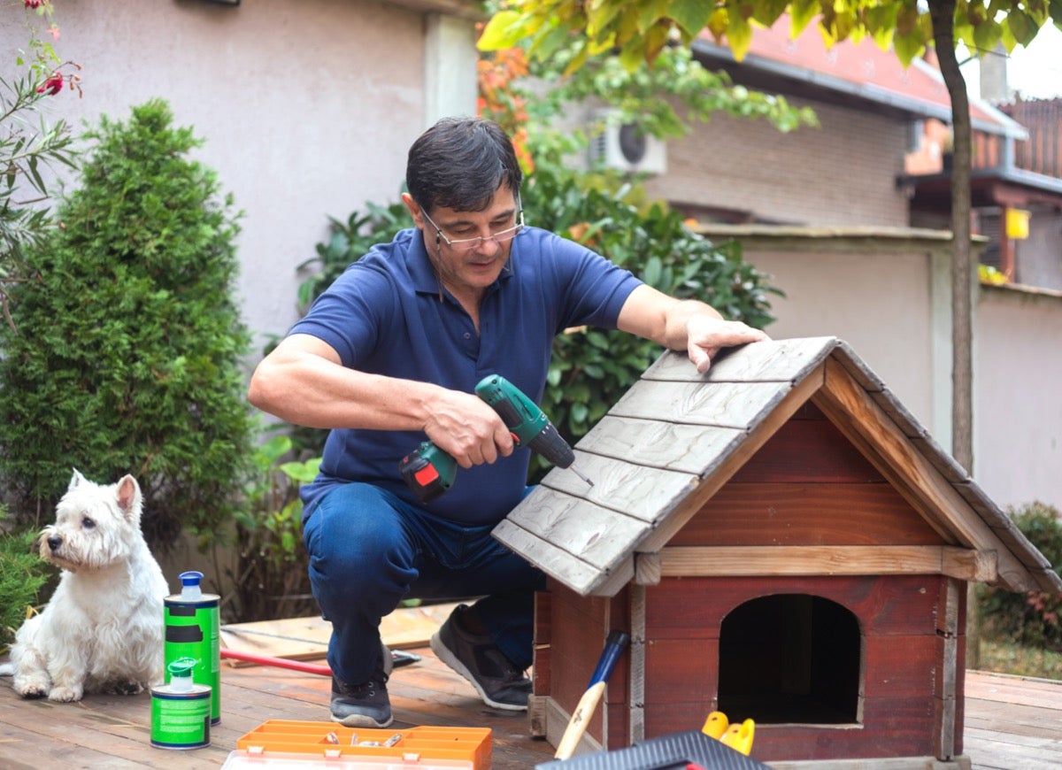 15 DIY Dog House Ideas for Your Furry Friend