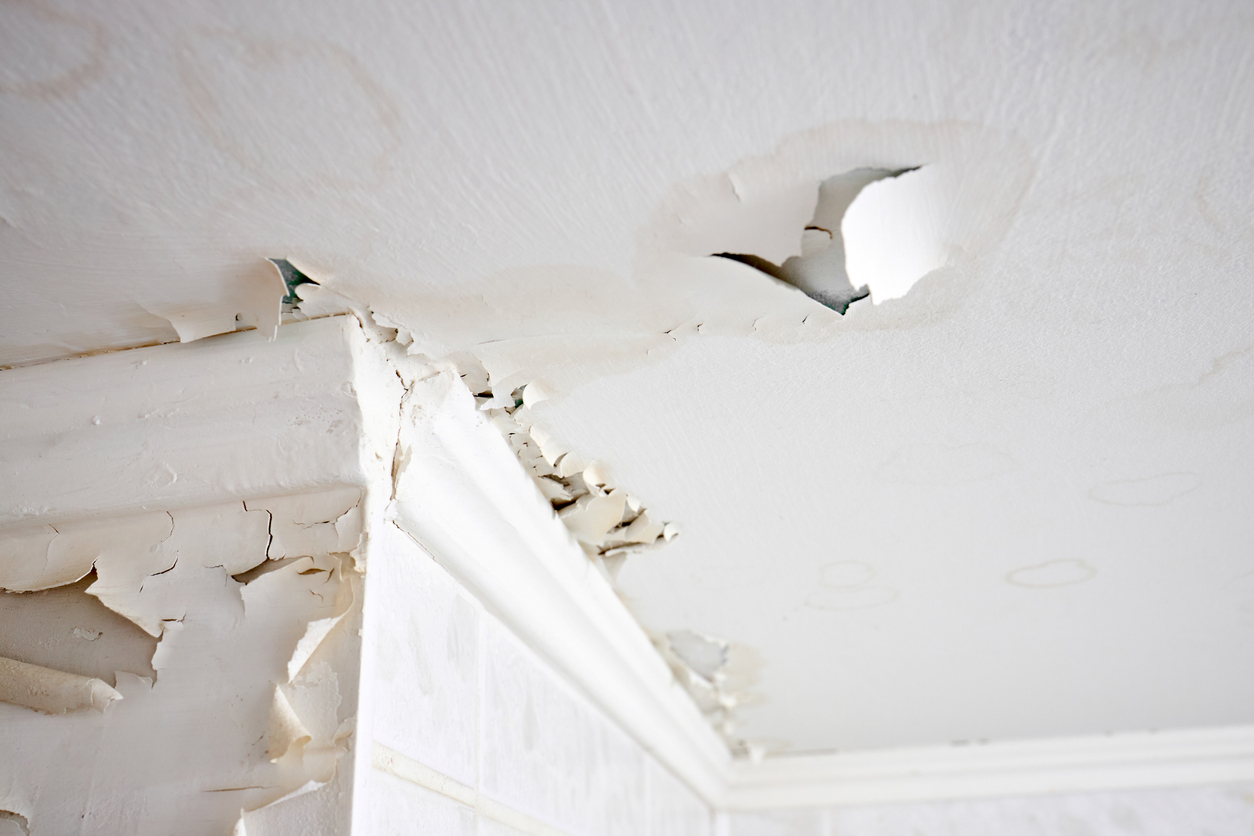 Swelling leaking of whitewash and plaster on ceiling of dwelling due to penetration of water from the top floor or roof selective focus.