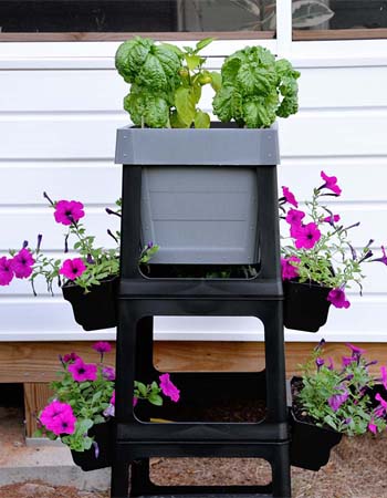 Deluxe PopUp garden with pink flowers and herbs