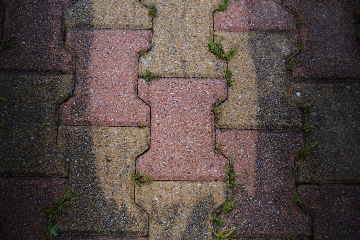 driveway cleaning