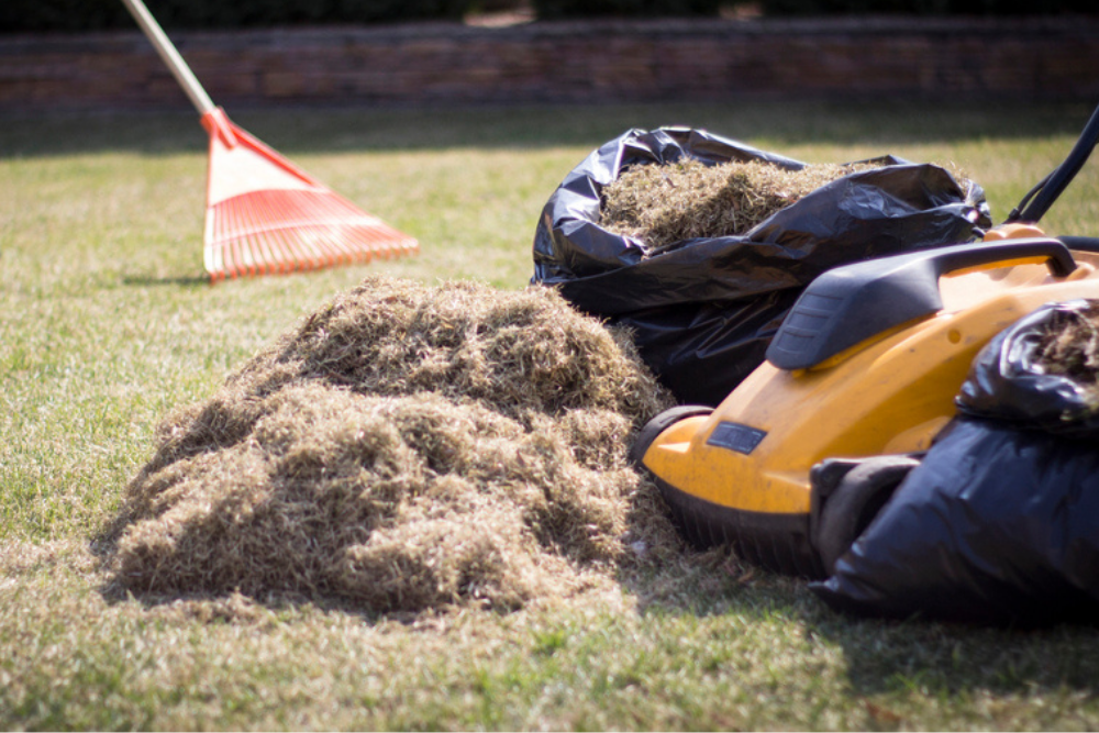 Yard Waste Removal