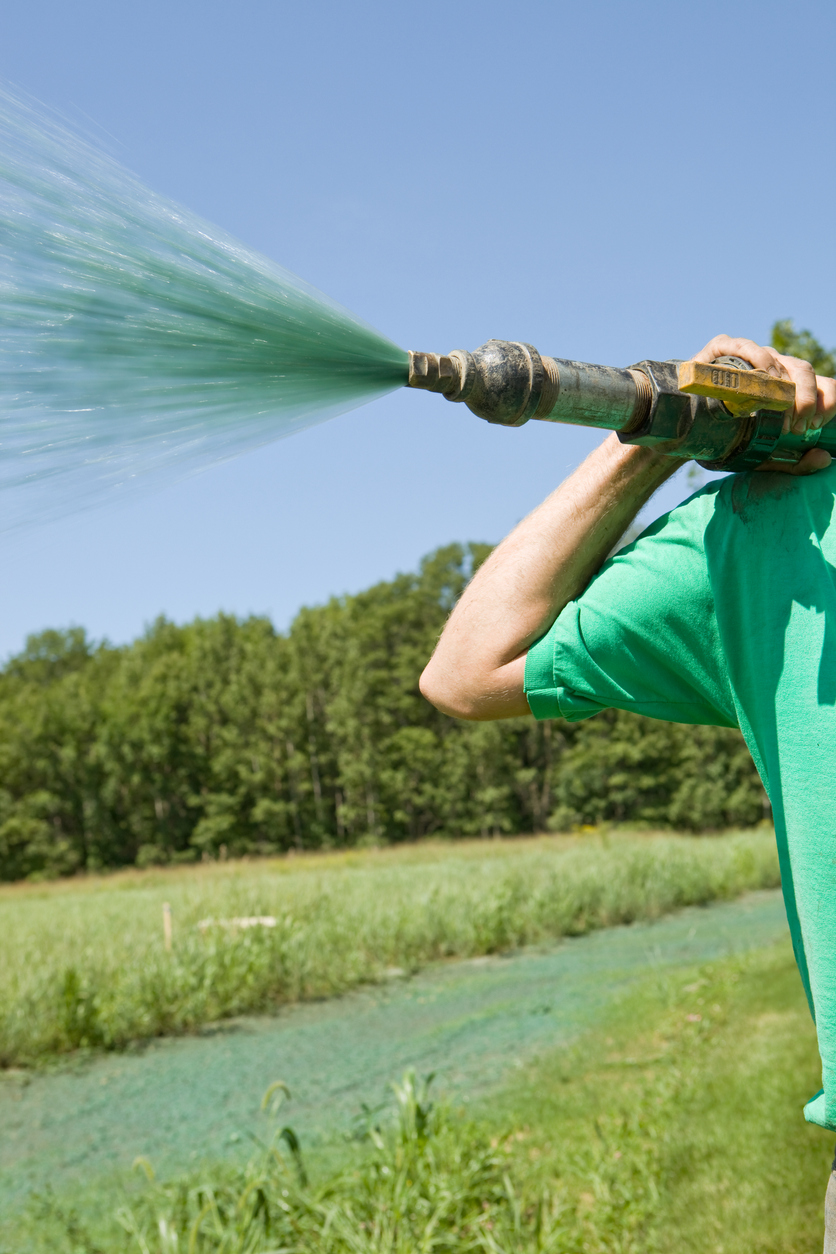 hydroseeding