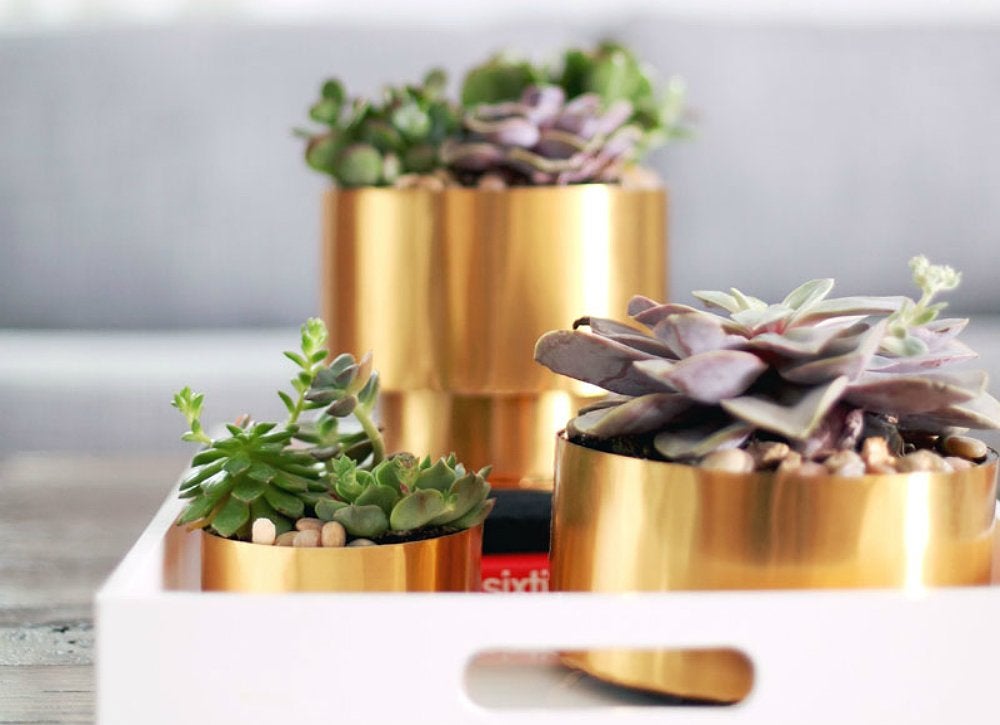 10 Totally Unexpected Things to Remake as Planters