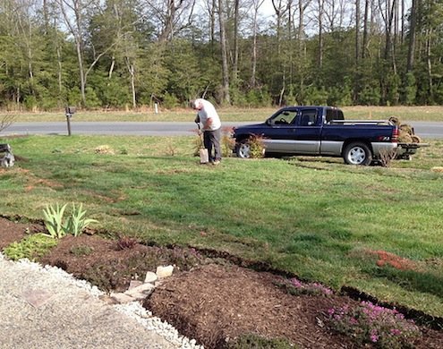 relaying the sod