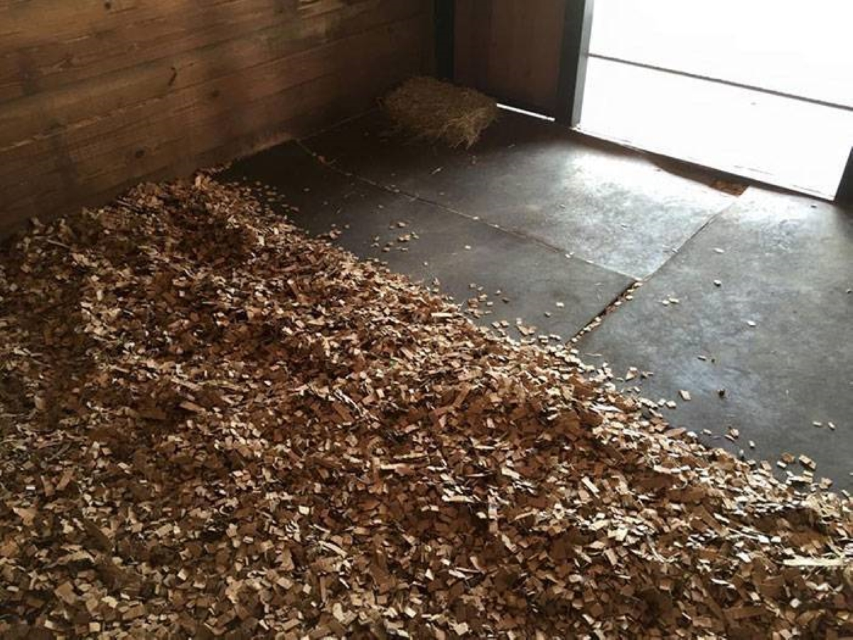 Large amount of animal bedding.