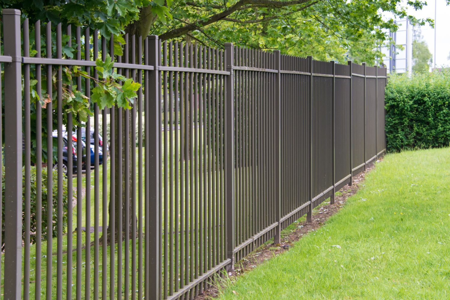 A black wrought iron fence divides a grass lawn with a parking lot surrounded by trees.