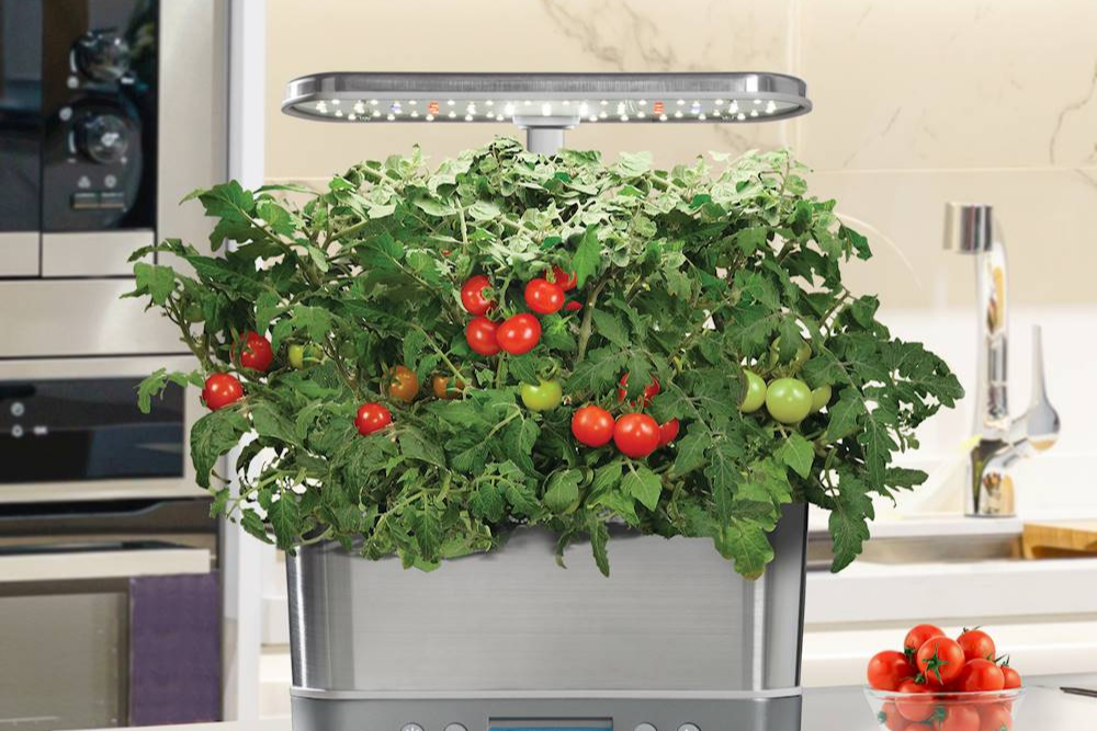 Deals Post 10/19 Option: AeroGarden Harvest Elite