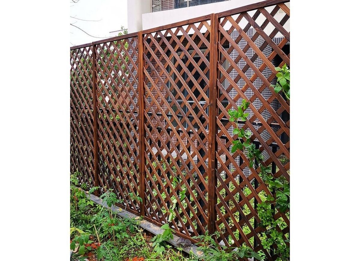 15 Beautiful and Functional Trellis Ideas for Climbing Plants