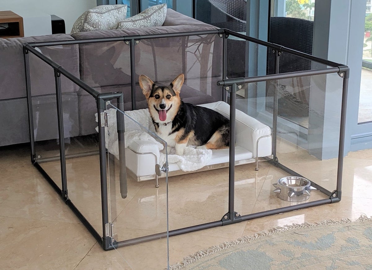 15 DIY Dog House Ideas for Your Furry Friend