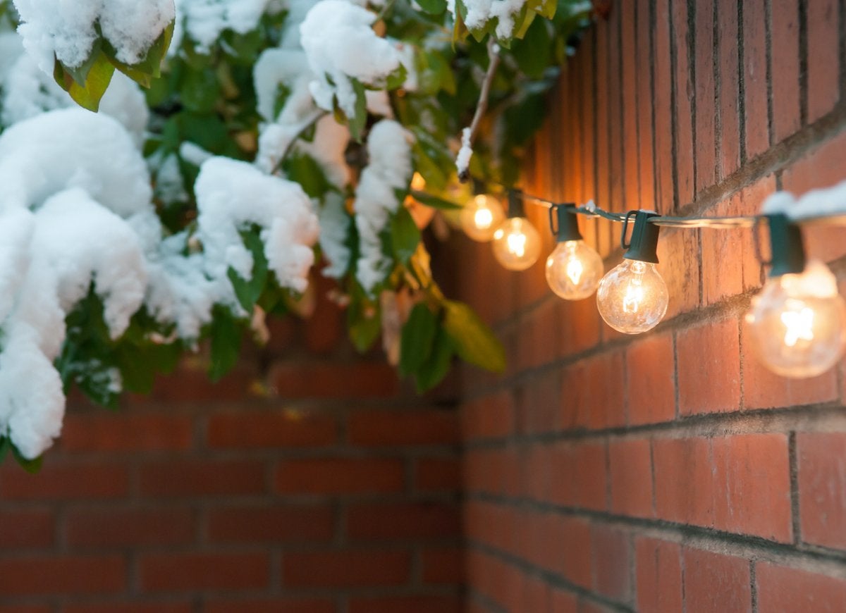 25 Ways to Enjoy Your Garden This Winter