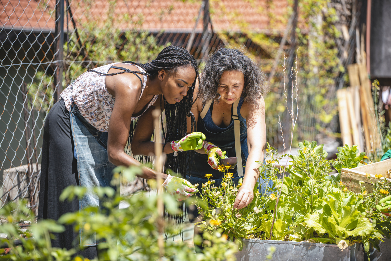 homesteading