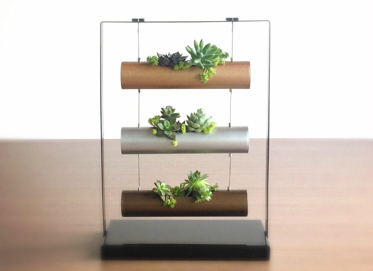 10 Tiny Gardens You Can Grow on Your Windowsill