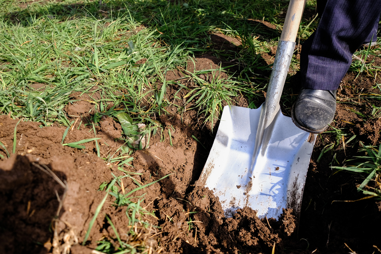 Digging into the grass