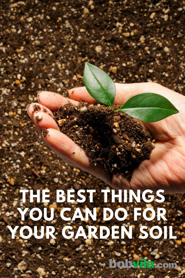 The Best Things You Can Do for Your Garden Soil